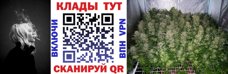 Что такое Невель NBOMe MDMA Меф мяу мяу Псилоцибиновые грибы Кокаин А ПВП ГАШ