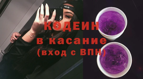 мдпв Елабуга
