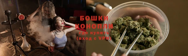 крисы Дмитриев