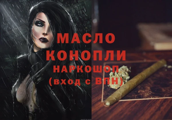 ECSTASY Ельня