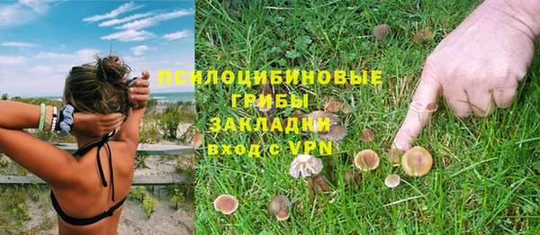 дурь Александровское