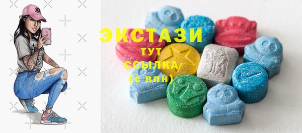 мдпв Елабуга